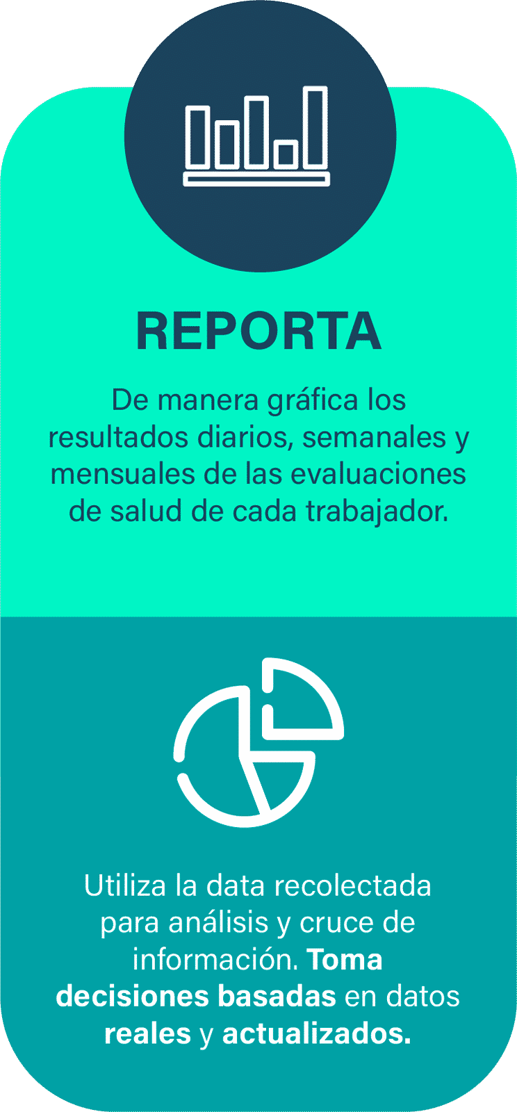 REPORTA